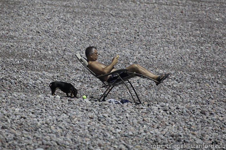 man, dog, chair